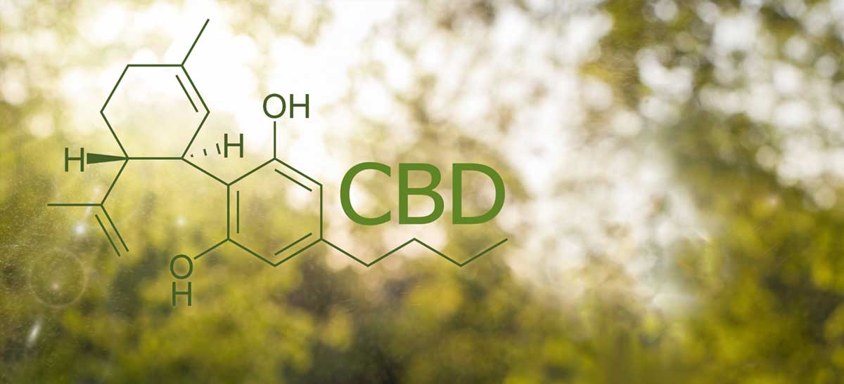 qu'est-ce que le cbd